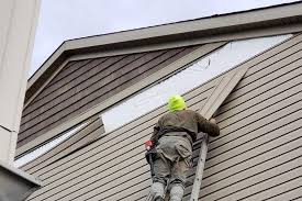 Affordable Siding Repair and Maintenance Services in Louise, TX